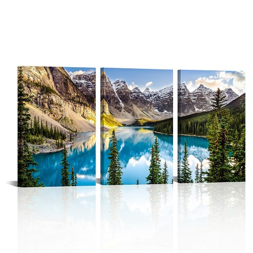 Custom Split Canvas Prints
