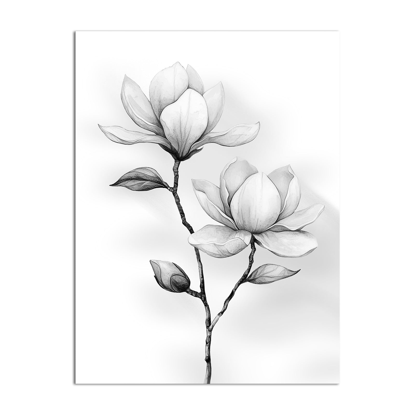 canvas art prints and wall art online