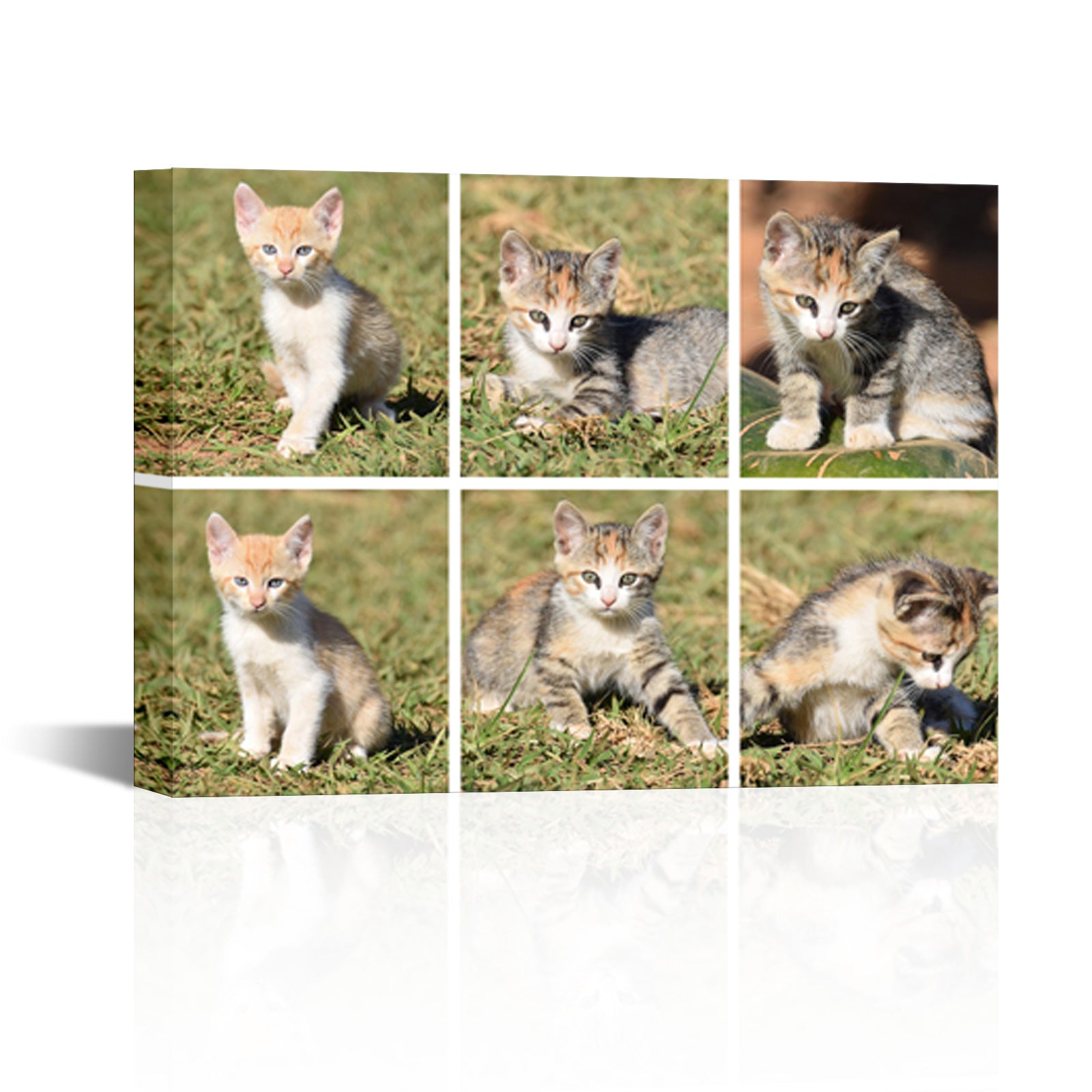 Pet memorial custom photo printing on the wall