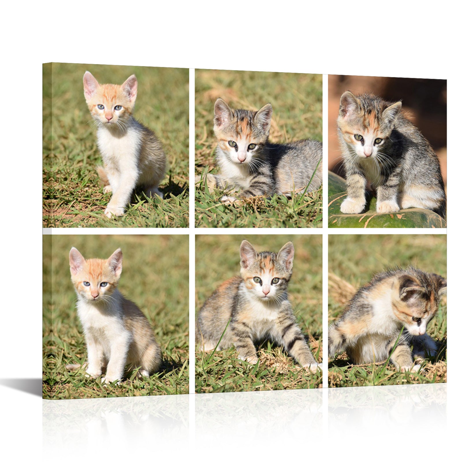 Pet memorial custom photo printing on the wall