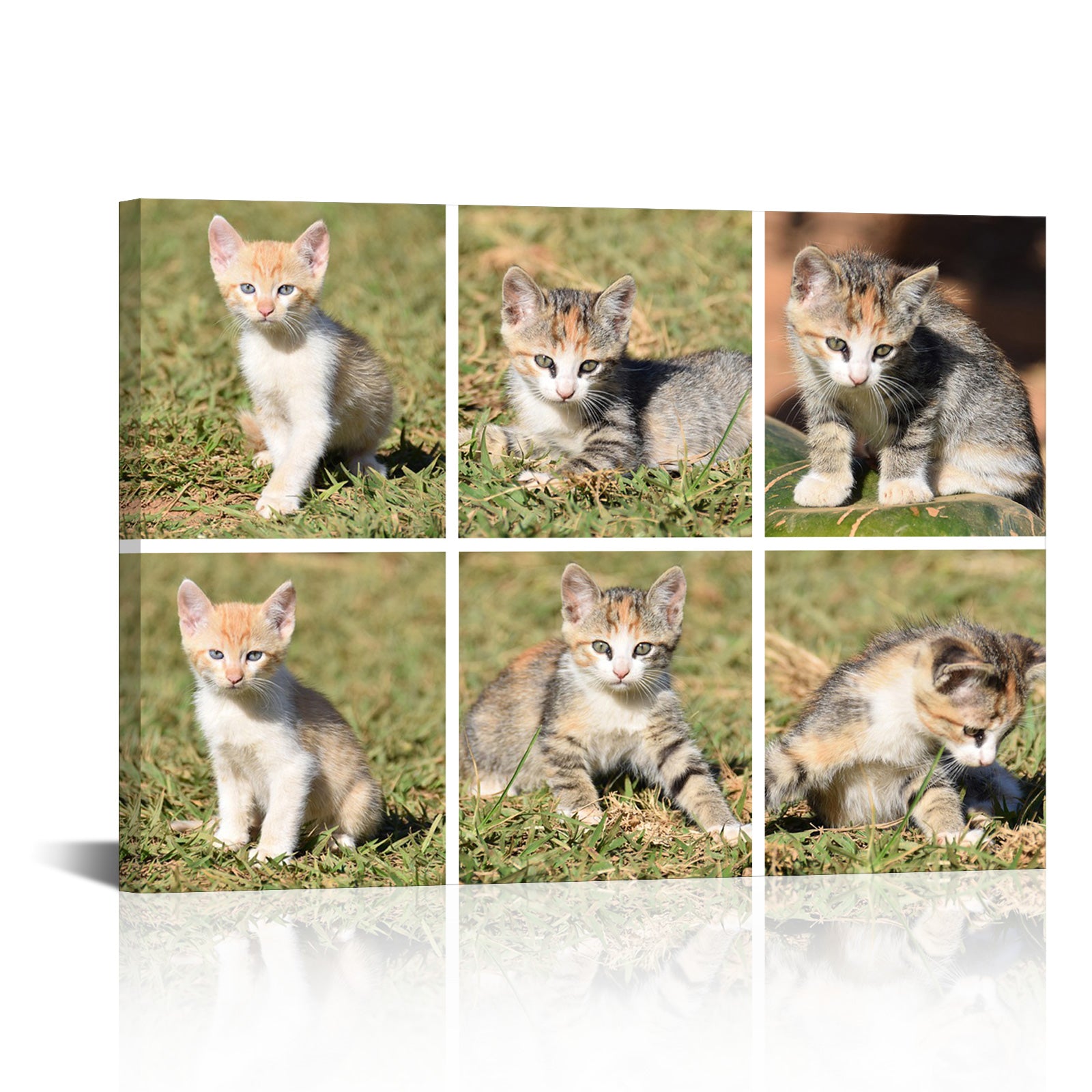 Horizontal Photo Collage Canvas Prints