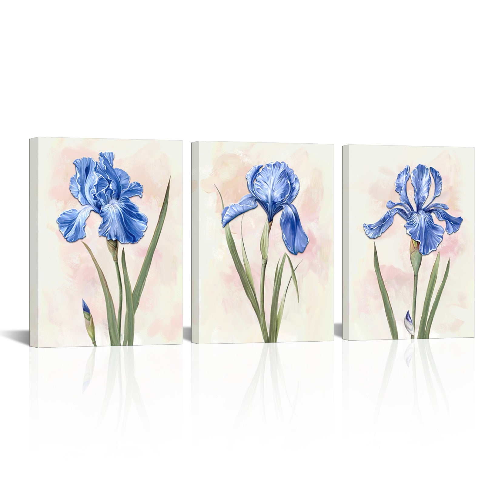 Iris Flowers