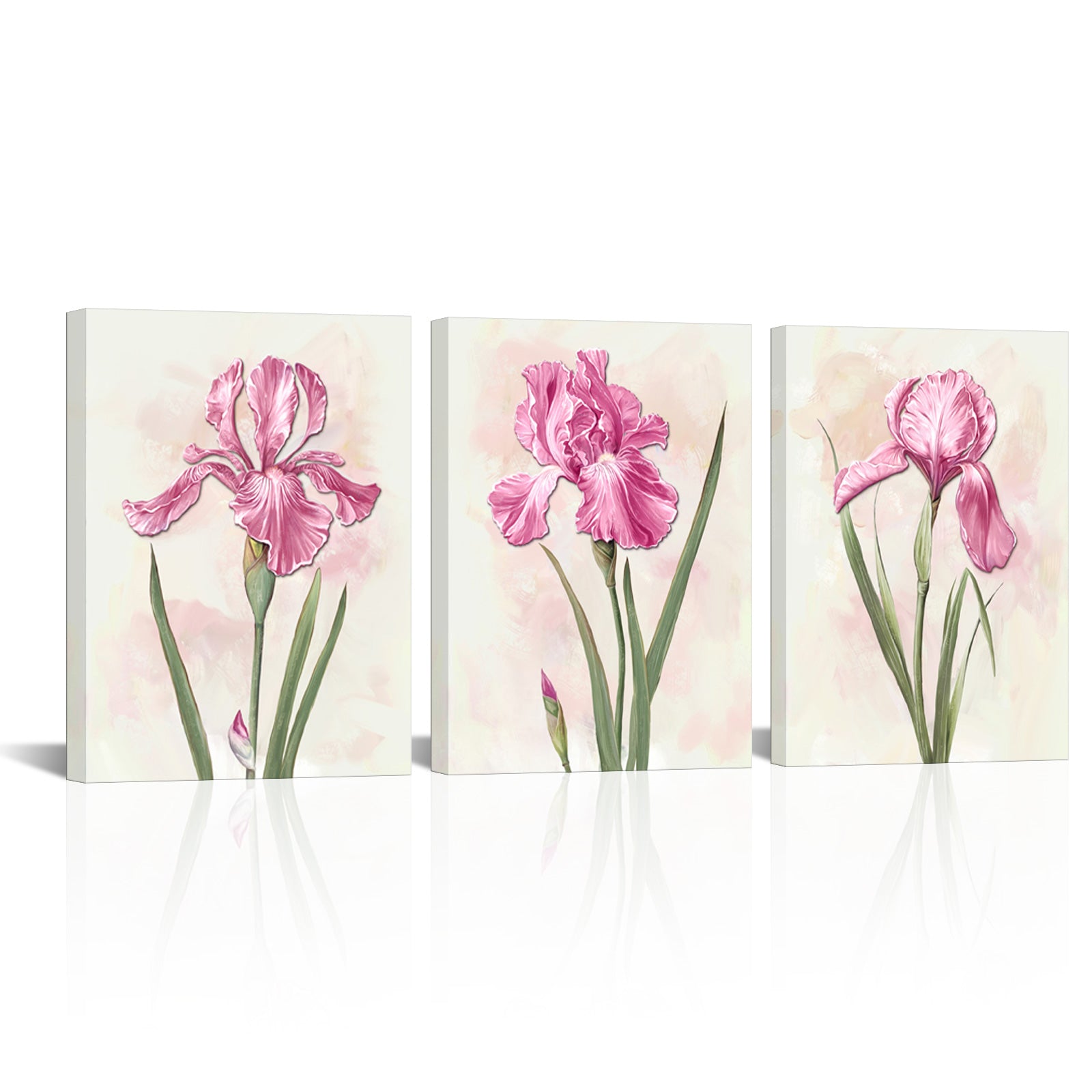 Iris Flowers