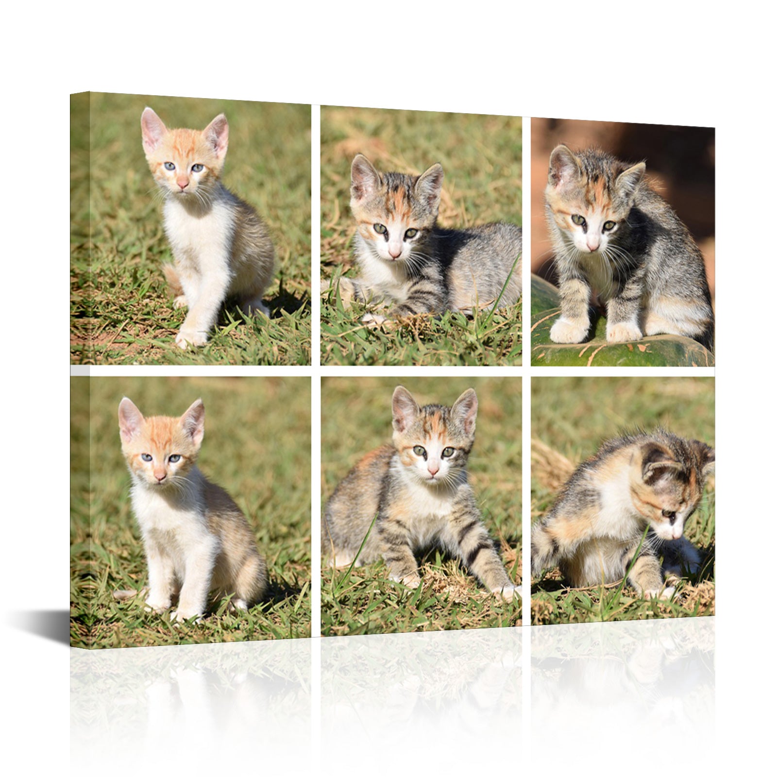 Pet memorial custom photo printing on the wall