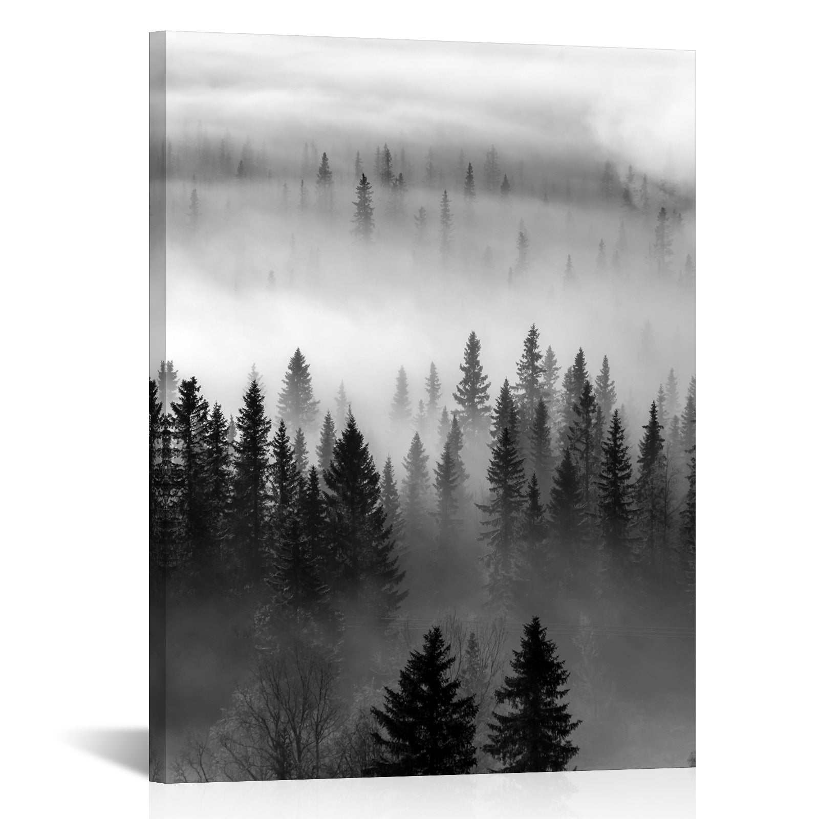 black and white wall art