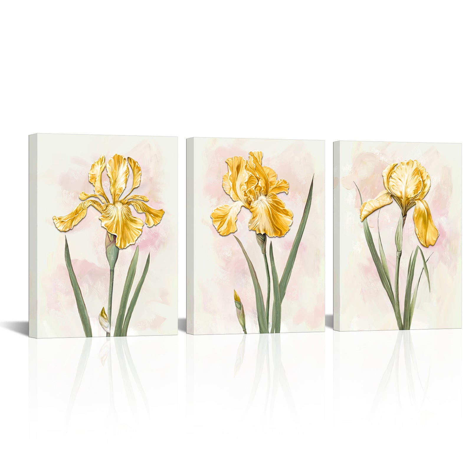 Iris Flowers