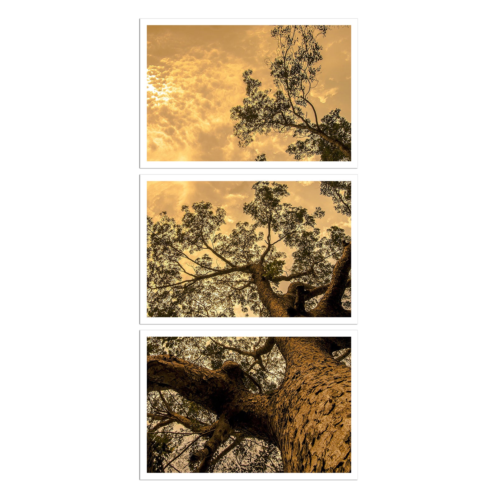 Custom panoramic scroll print in three parts