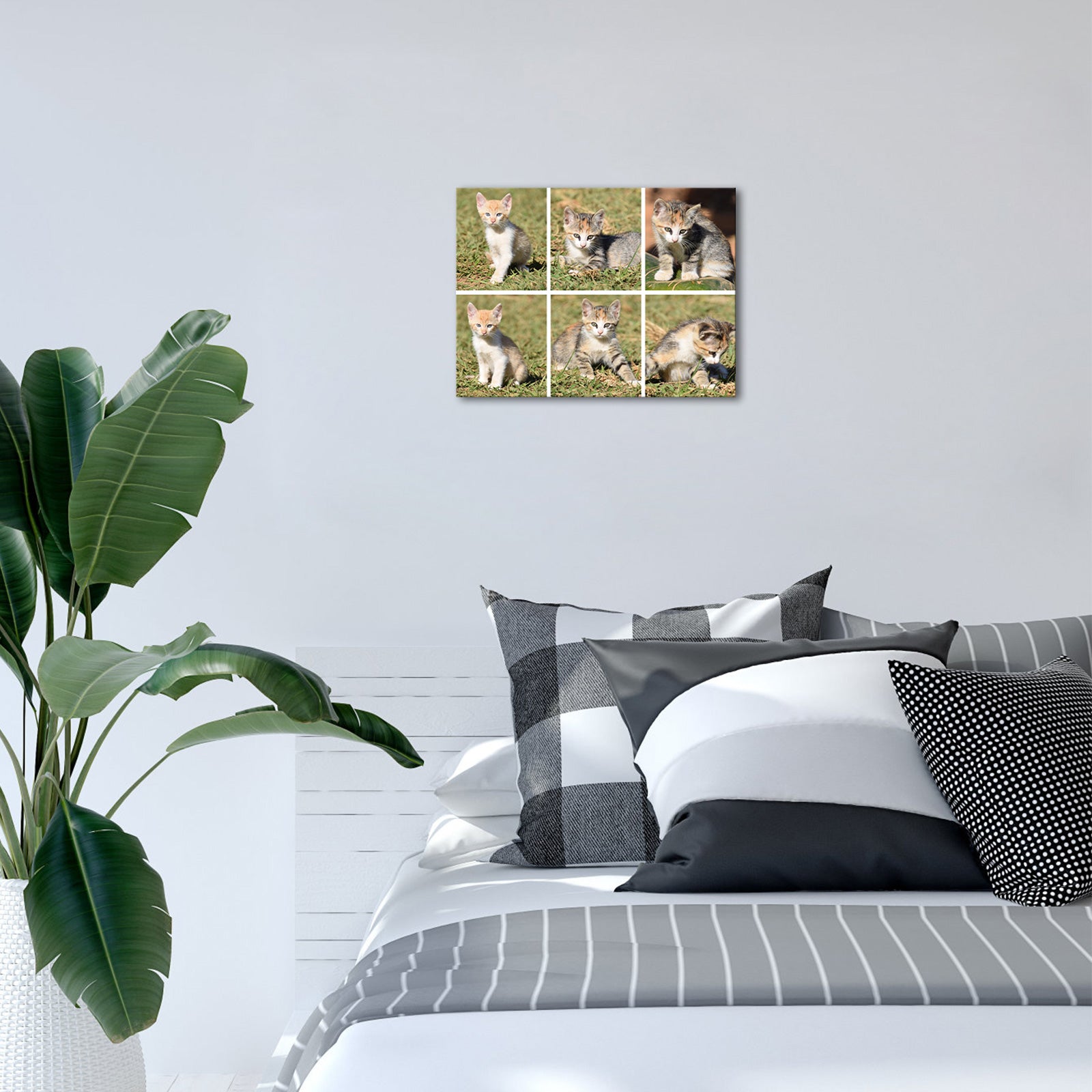 Pet memorial custom photo printing on the wall