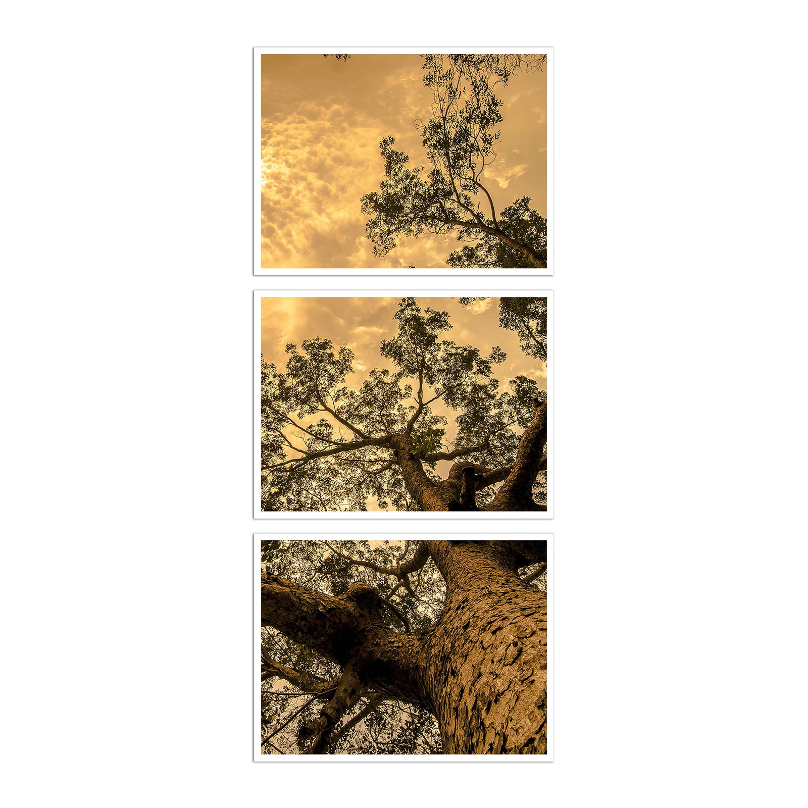 Custom panoramic scroll print in three parts