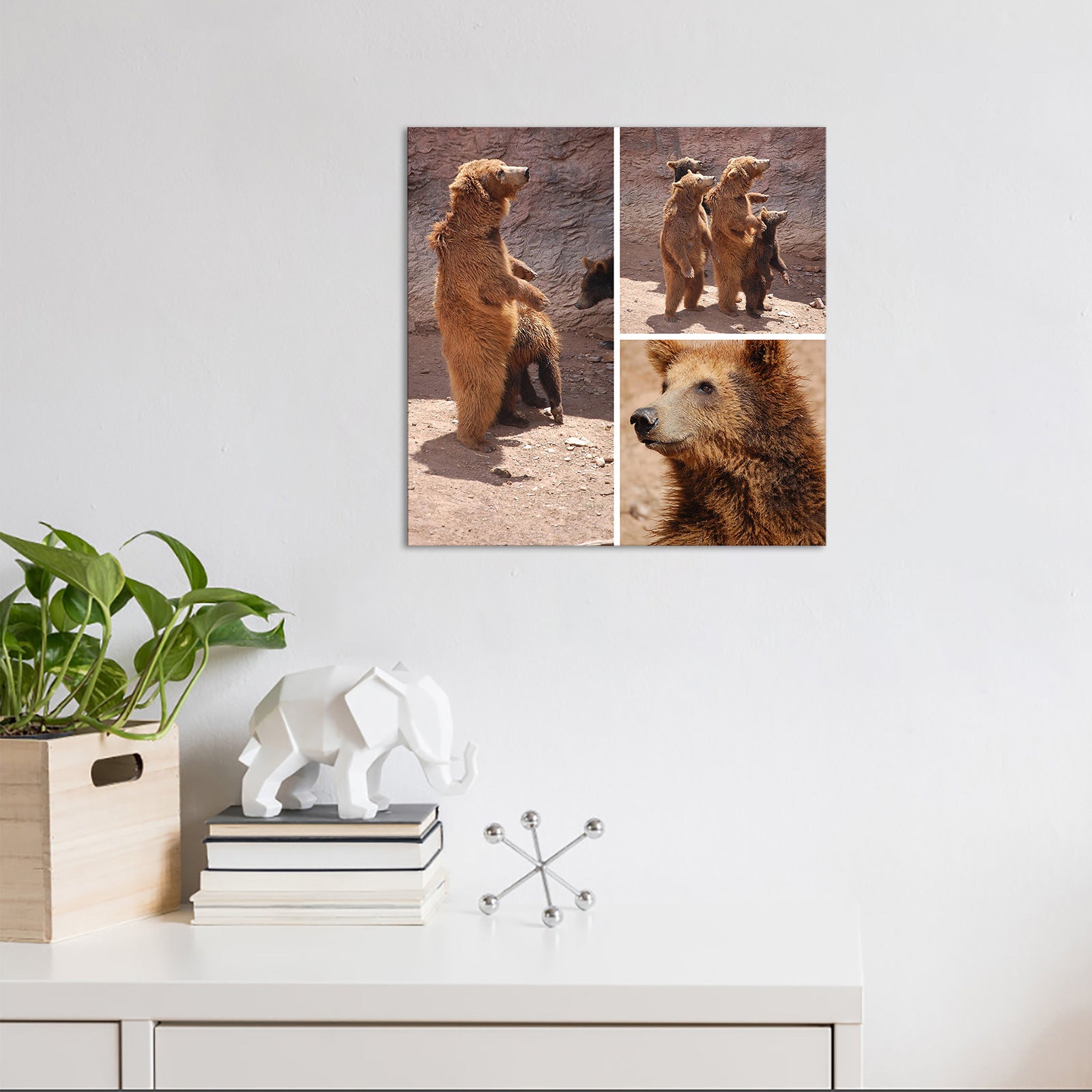 diy picture collage on canvas for living room wall