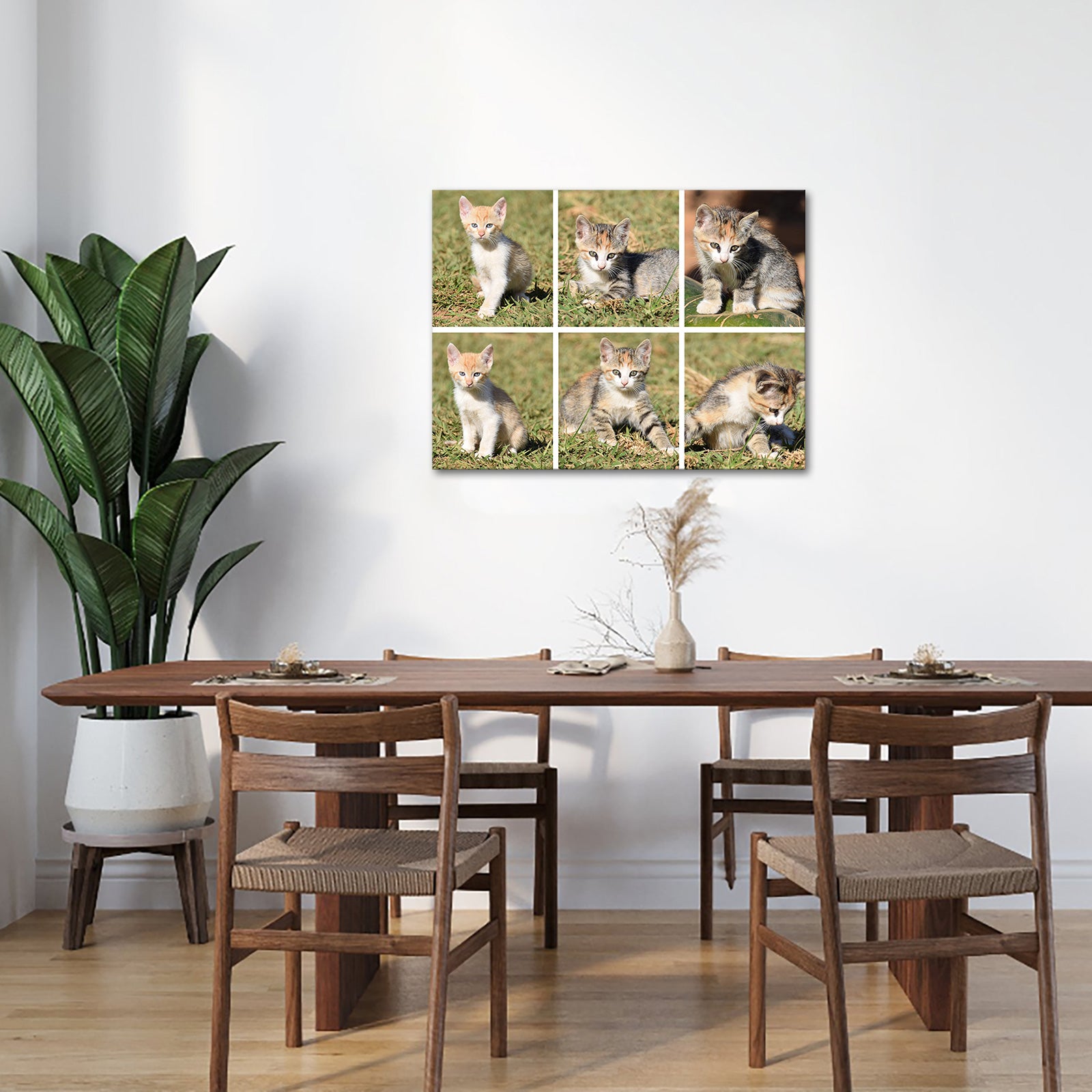 Pet memorial custom photo printing on the wall