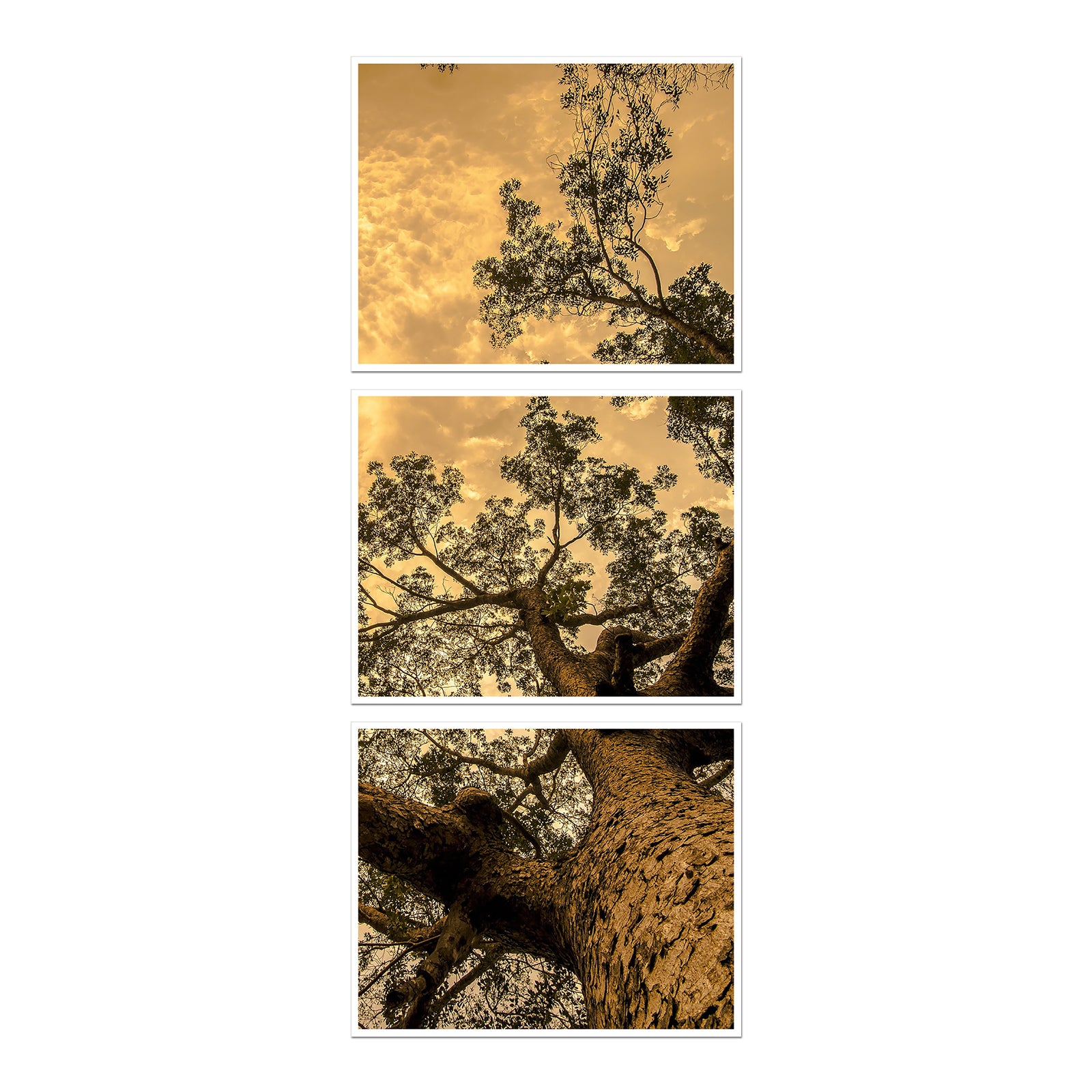 Custom panoramic scroll print in three parts