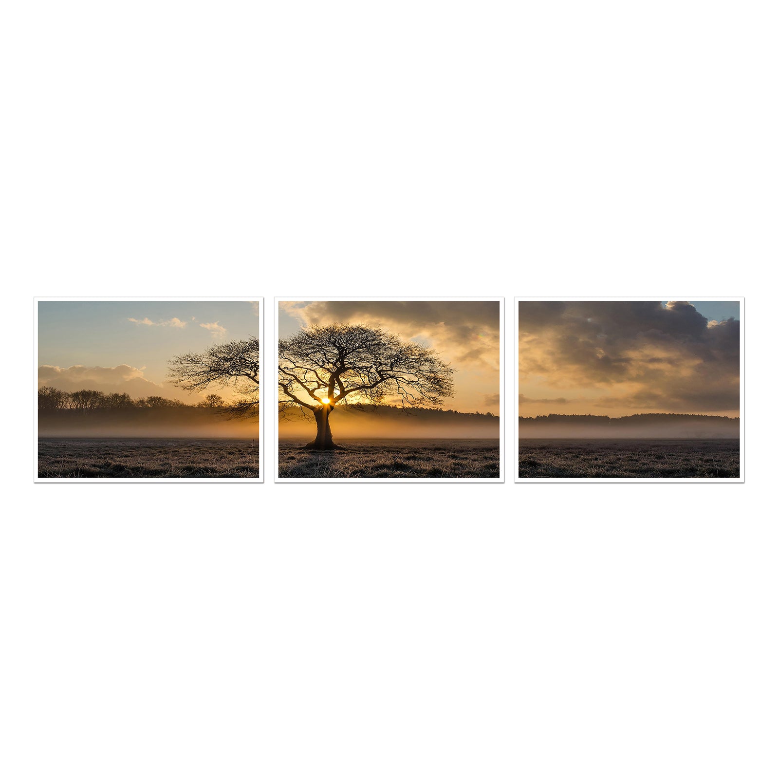 Custom panoramic scroll print in three parts