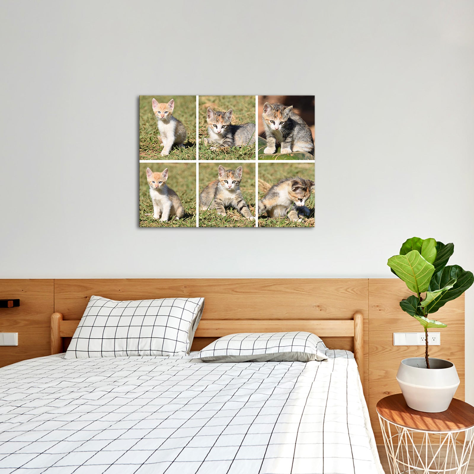 Pet memorial custom photo printing on the wall