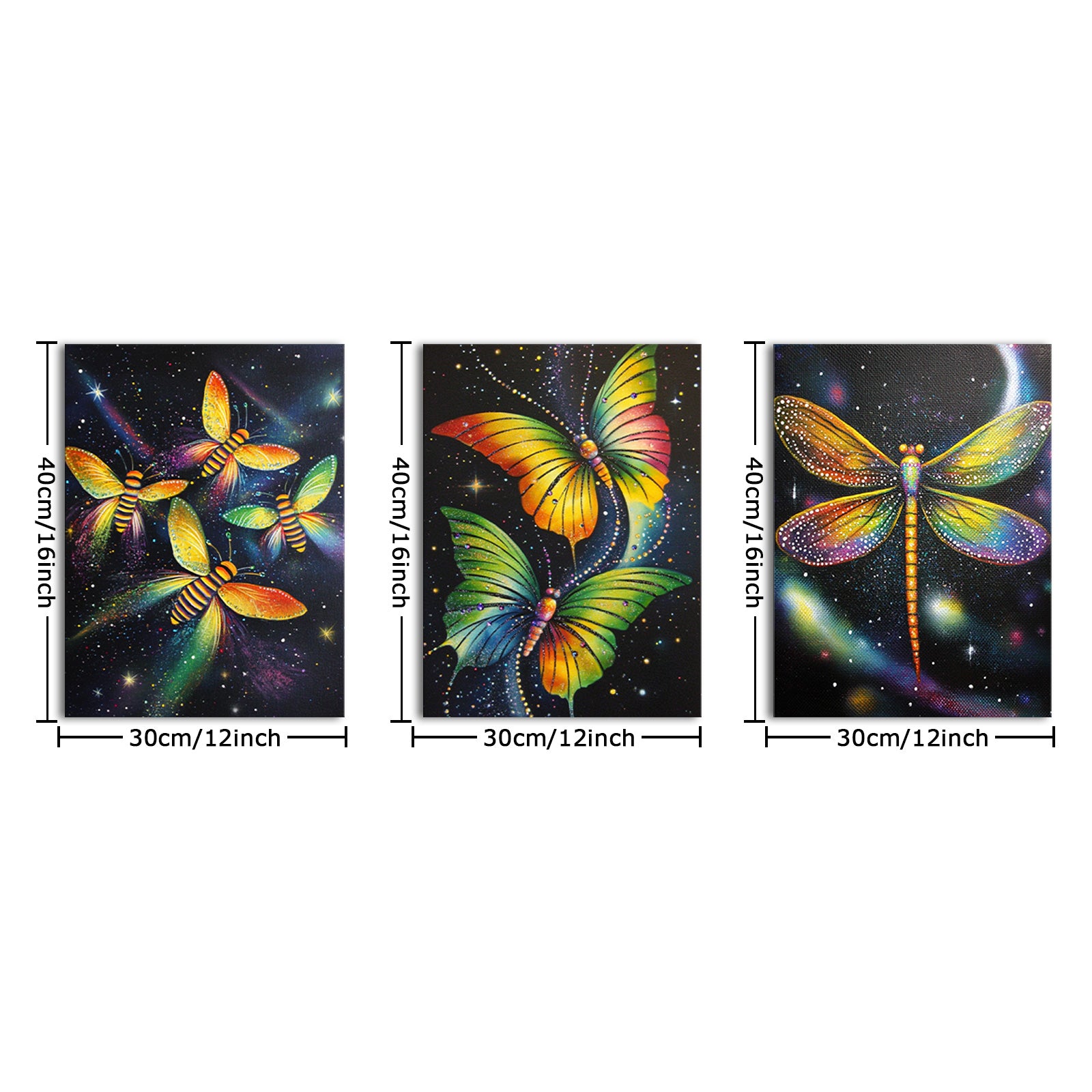 Colorful Insects Butterflies Dragonflies