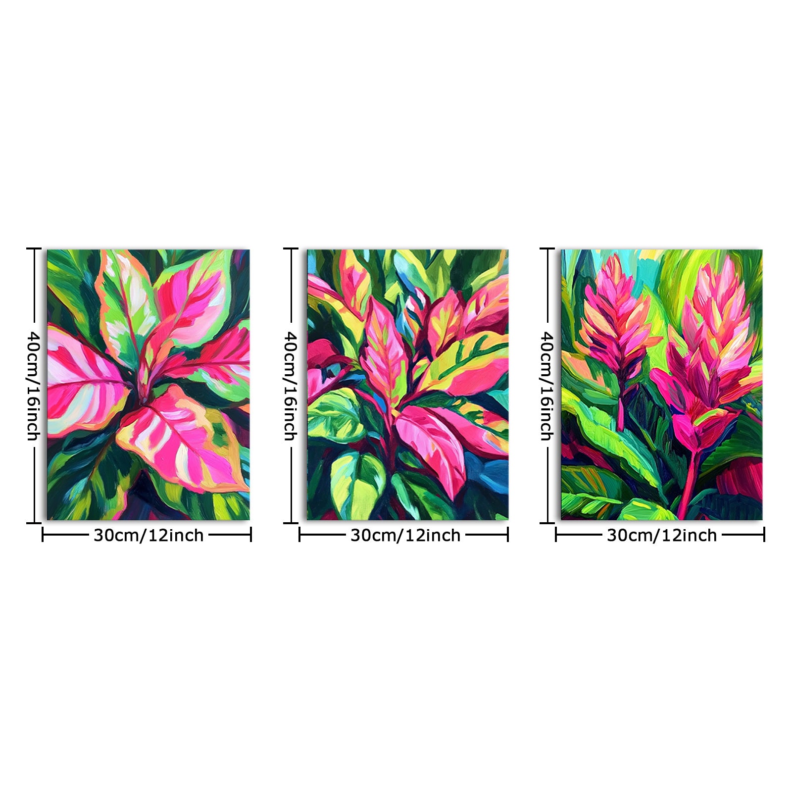 Tropical Foliage Plants