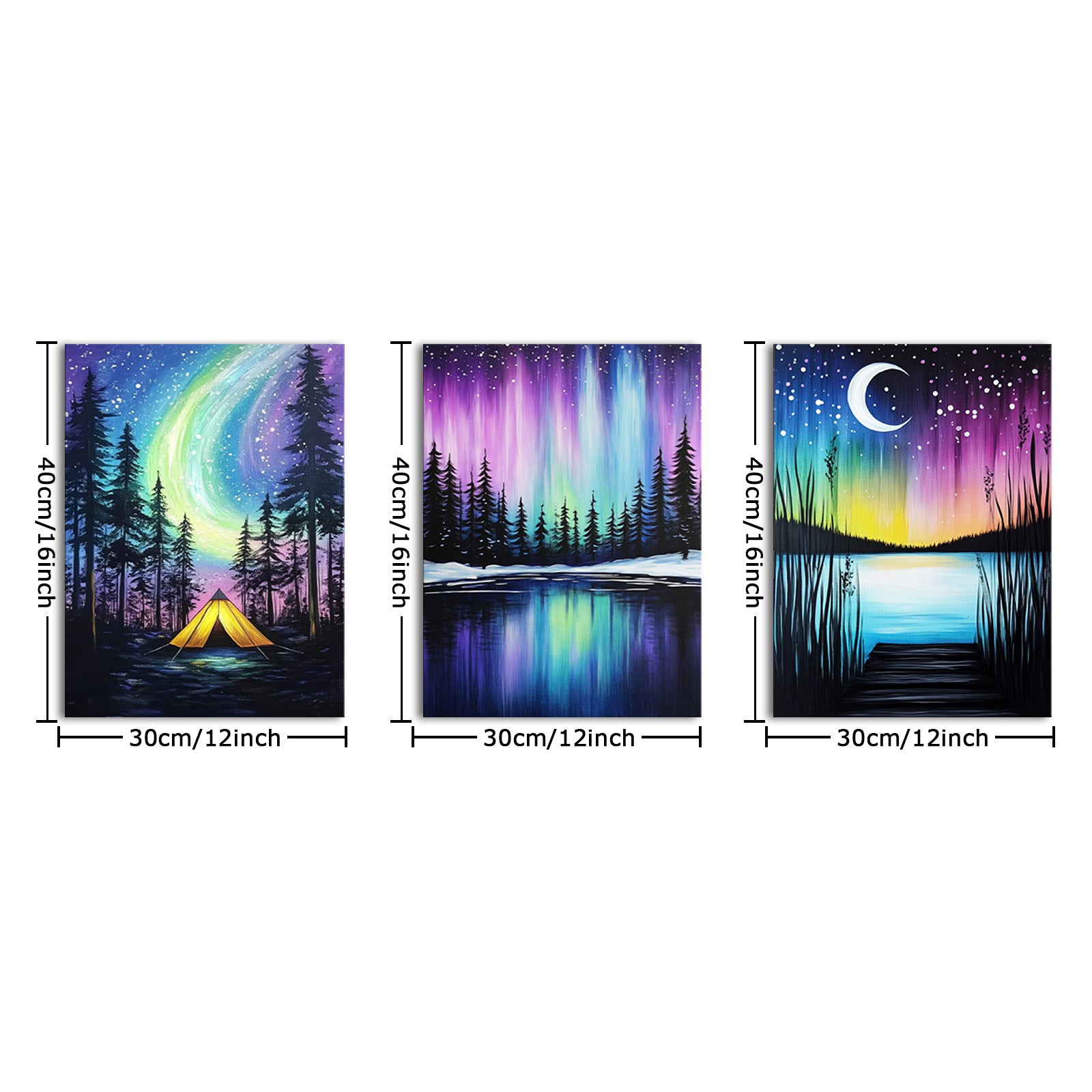 Aurora Borealis Night Landscape
