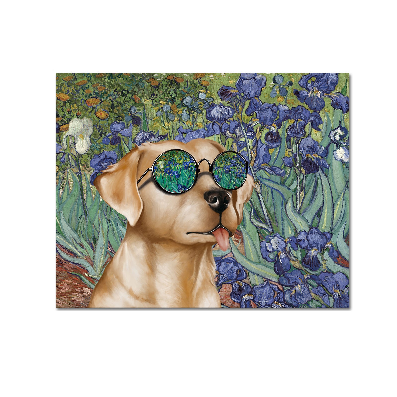 pet canvas wall pictures