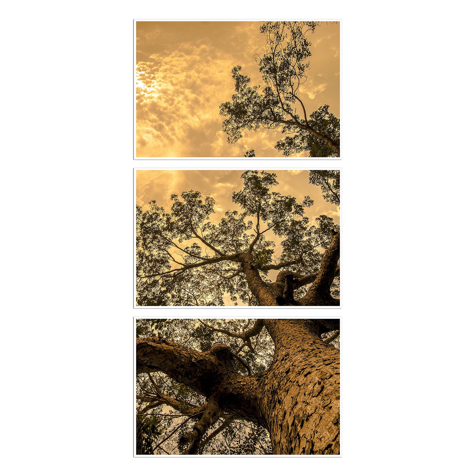 Custom panoramic scroll print in three parts