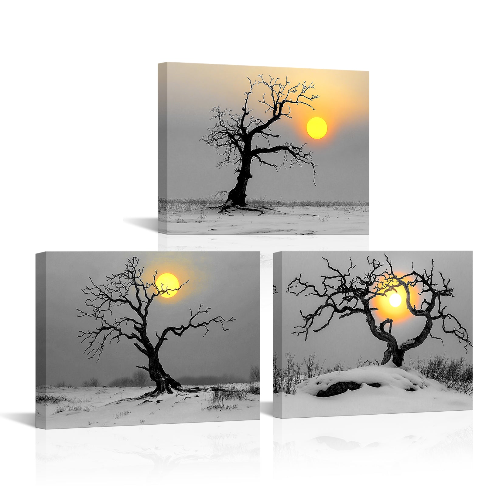 Winter Sunset And Skeletal Trees