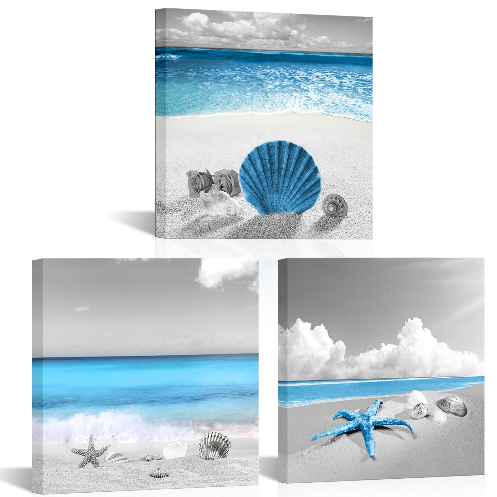 Sandy Beach With Seashells And Starfish