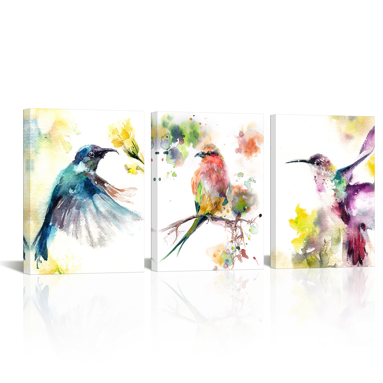 Vibrantly Colored Birds