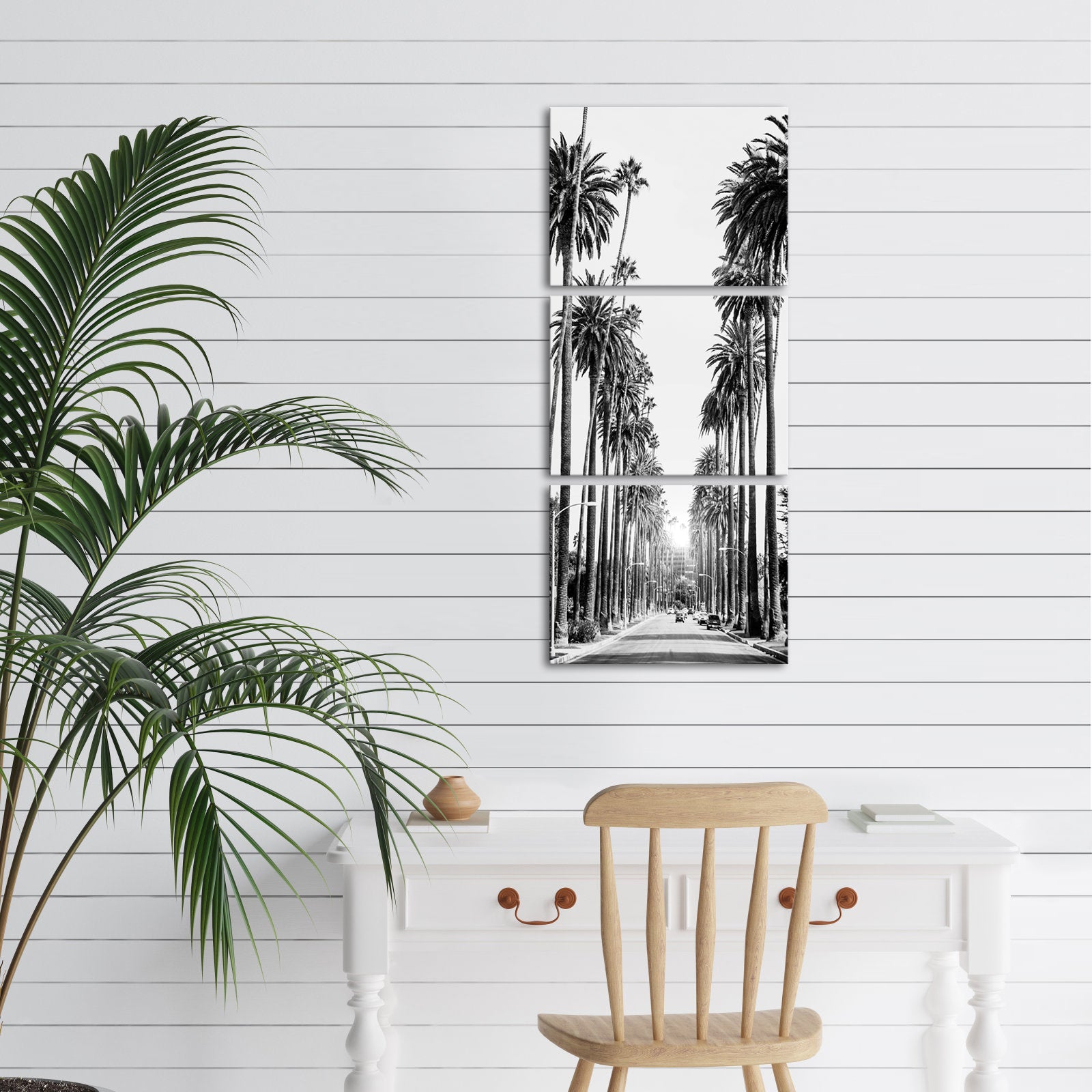 Avenue Lined With Towering Palm Trees