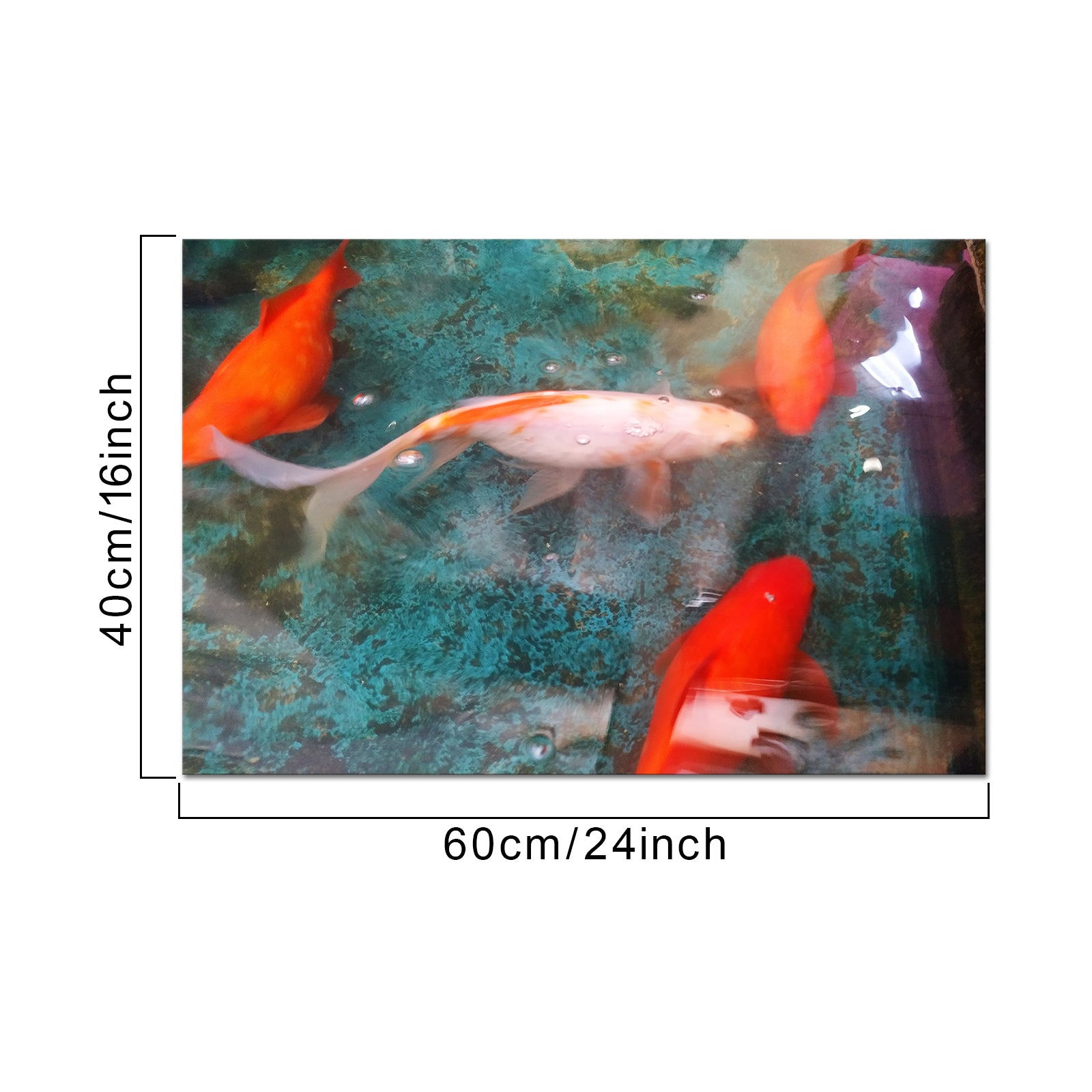 Goldfish