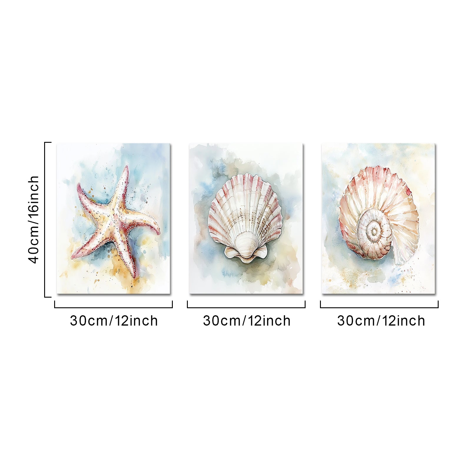Watercolor Seashells Starfish