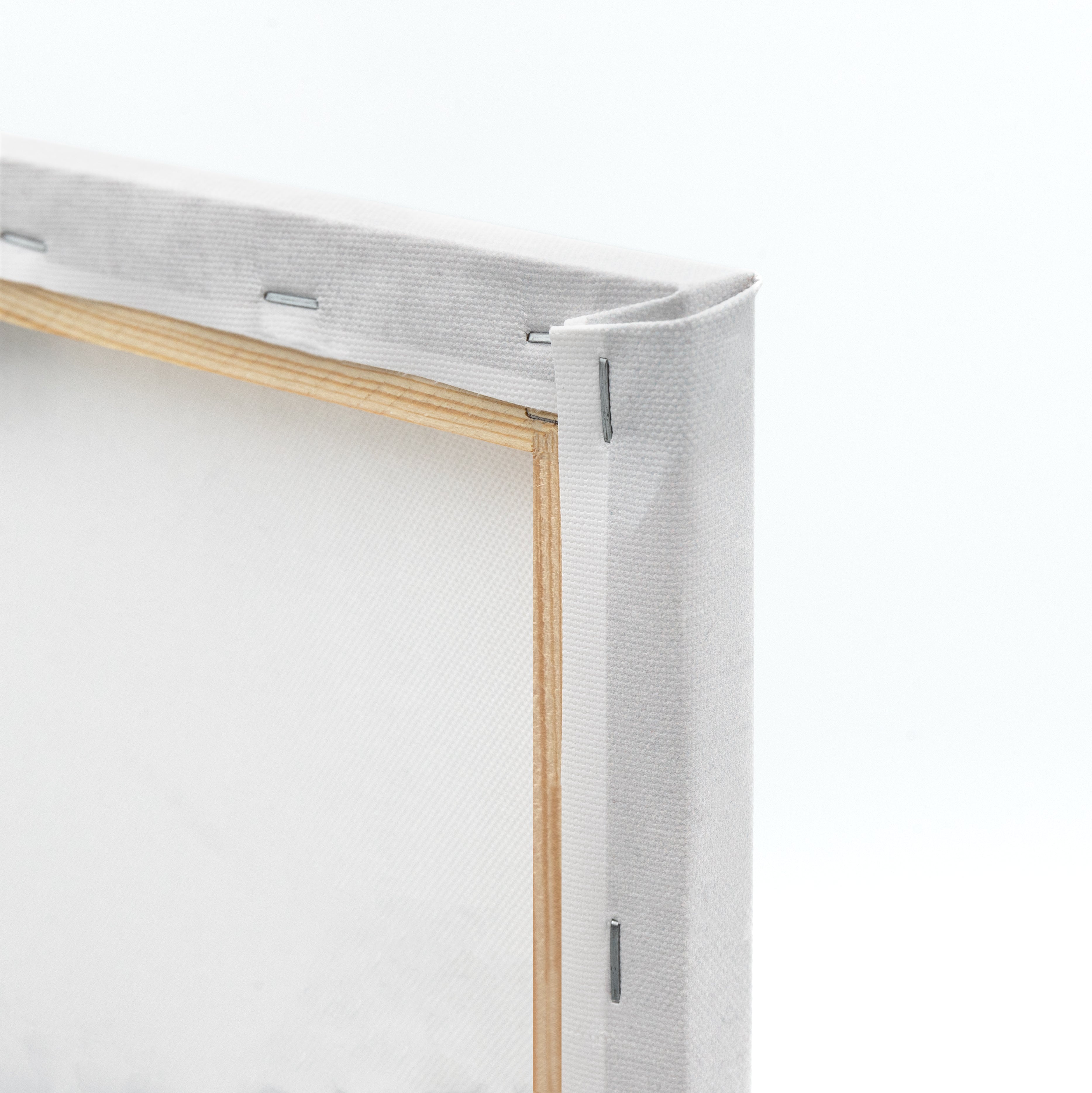 canvas prints back details