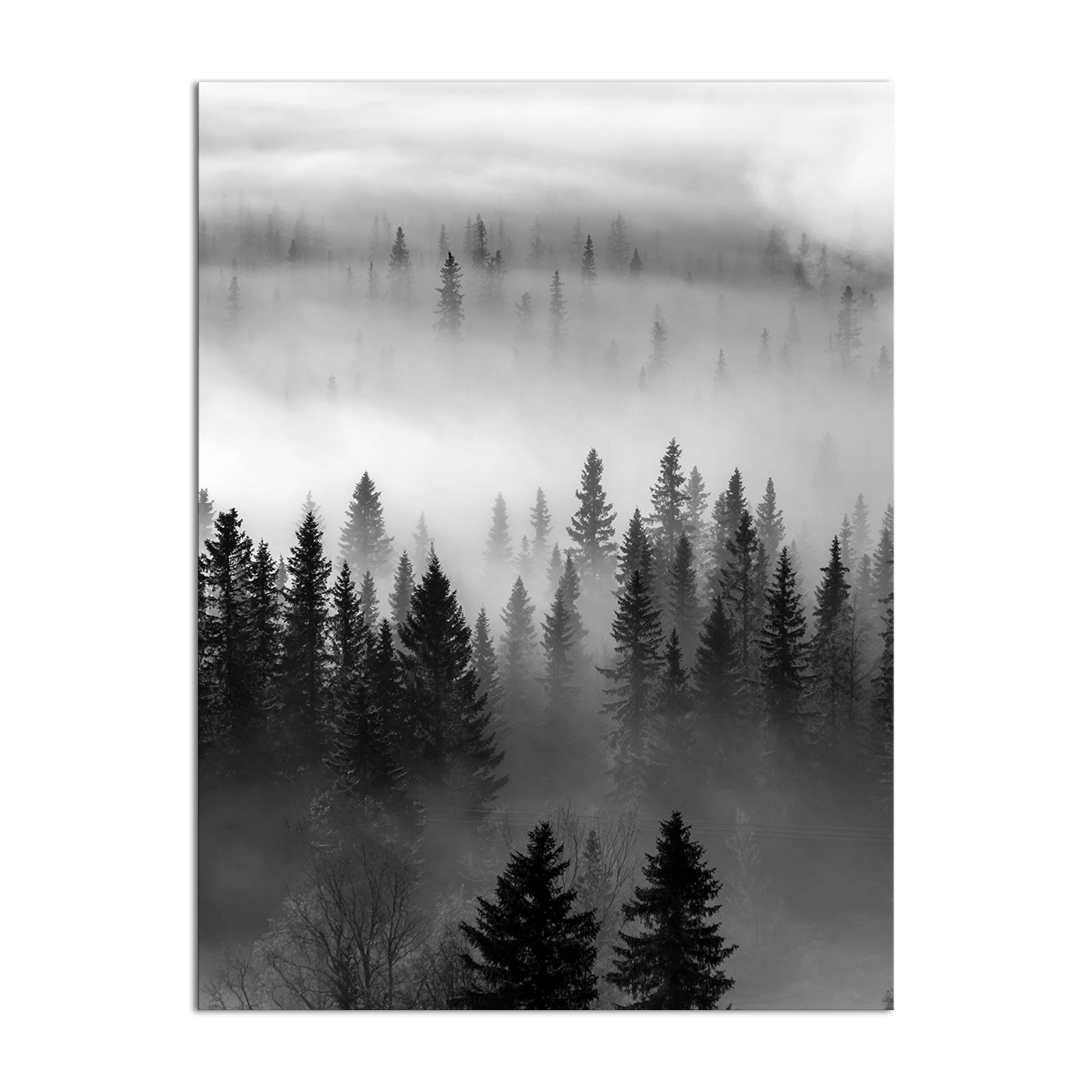 black and white wall art