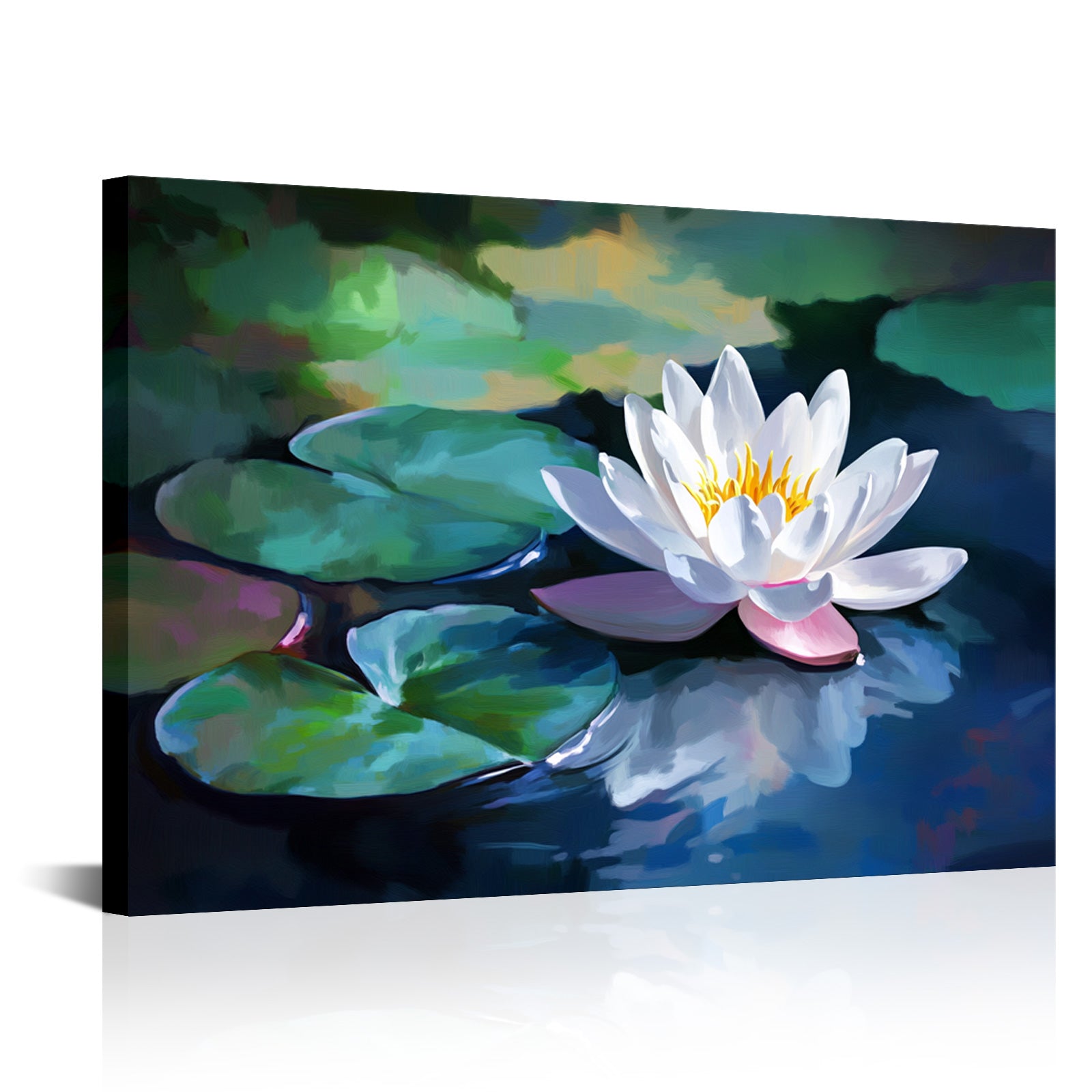 Blooming White Lotus