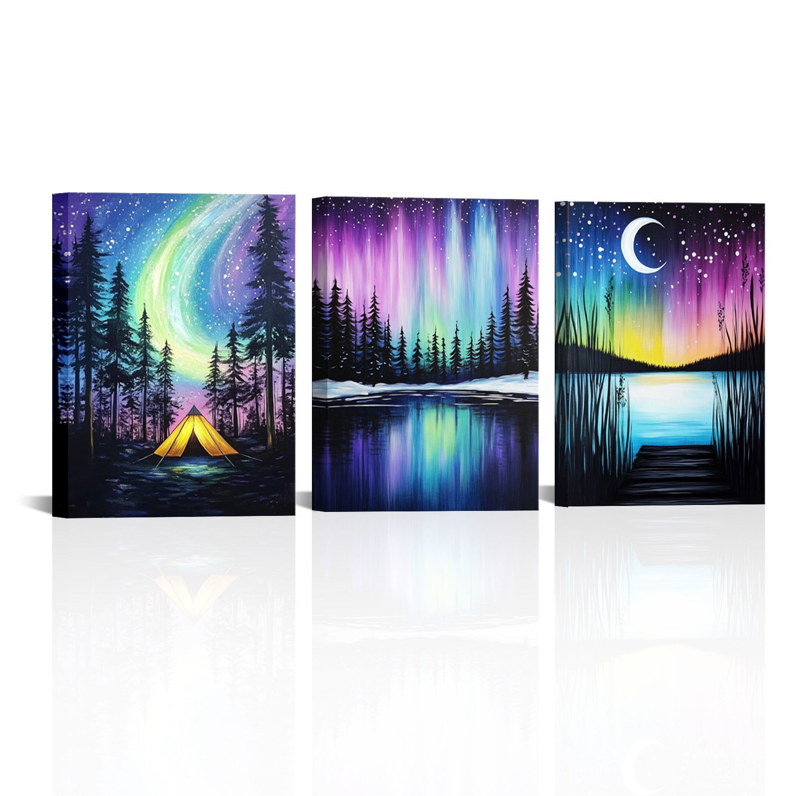 Aurora Borealis Night Landscape