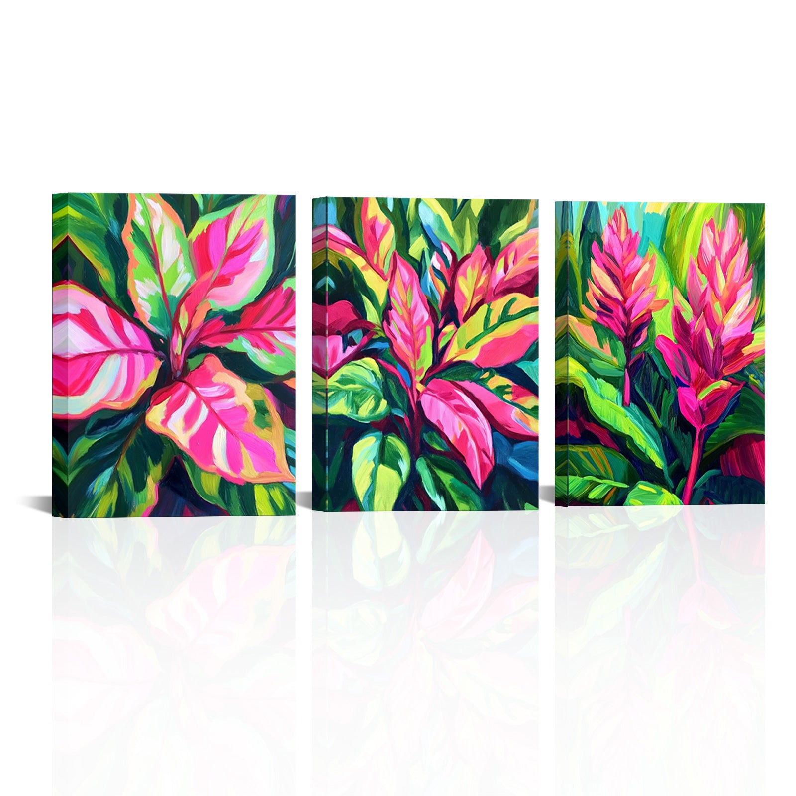 Tropical Foliage Plants