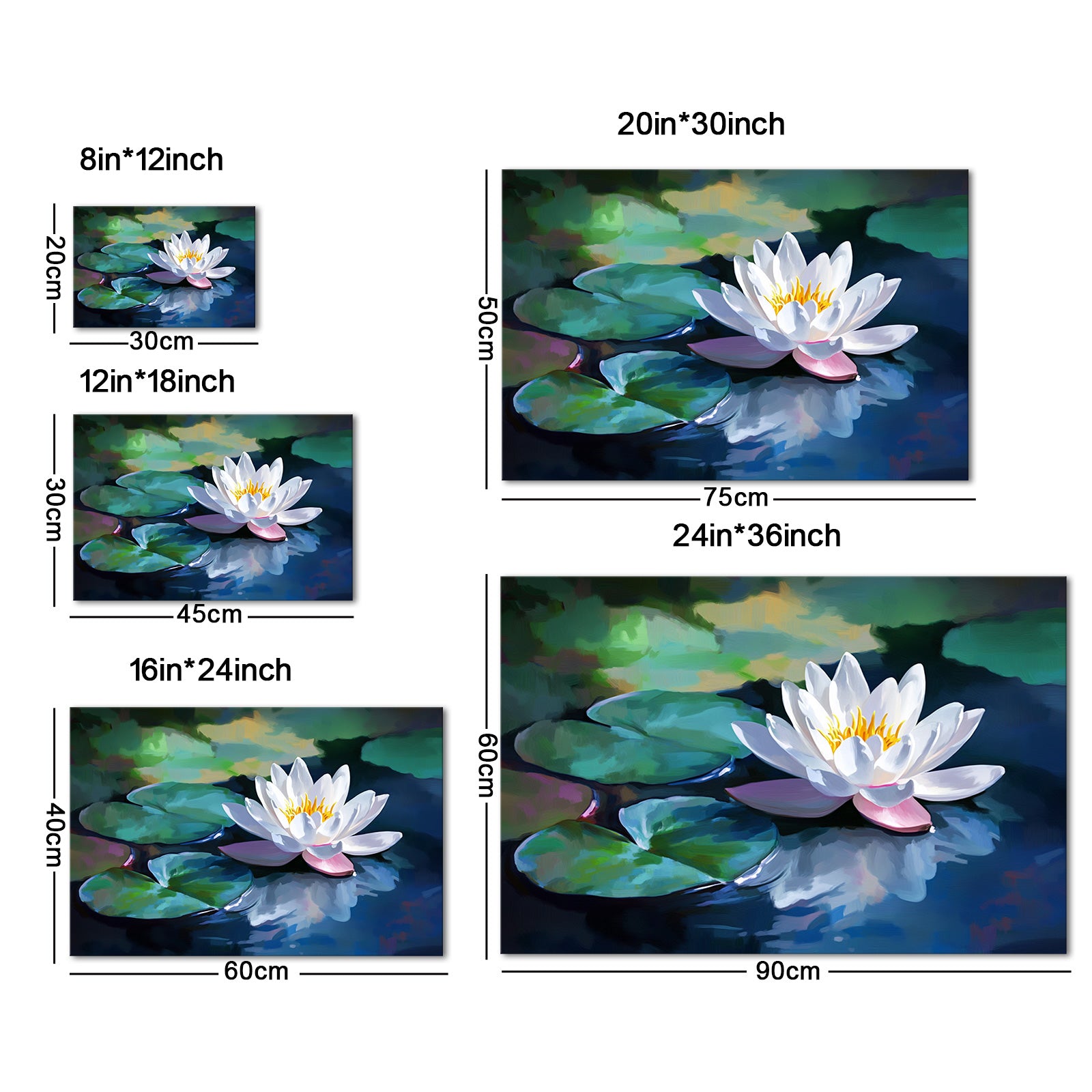 Blooming White Lotus
