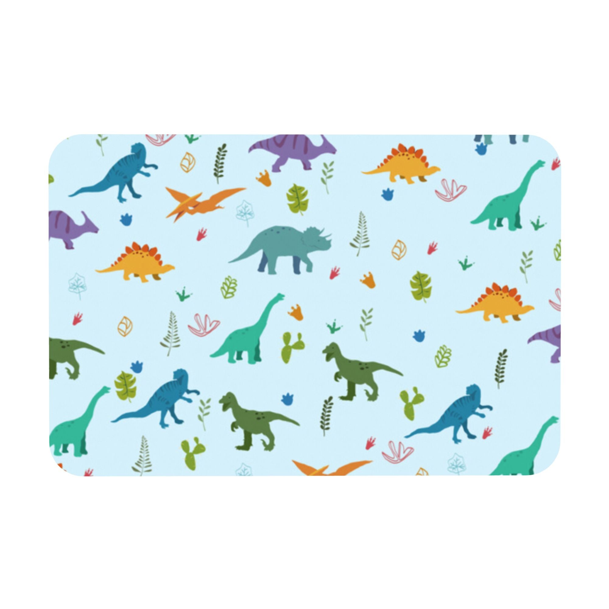 Custom Photo Diatomite Floor Mat