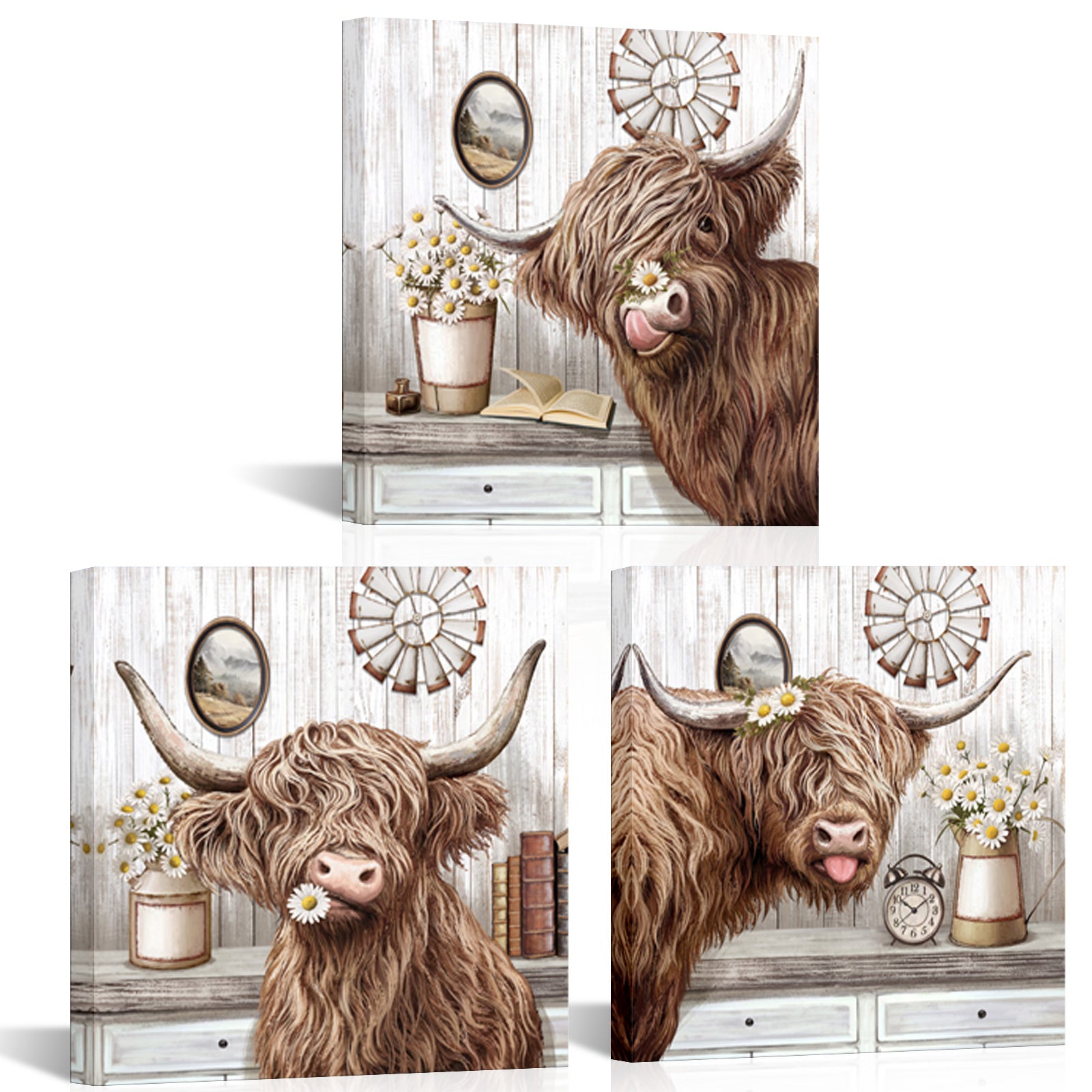 Fluffy Highland Cow