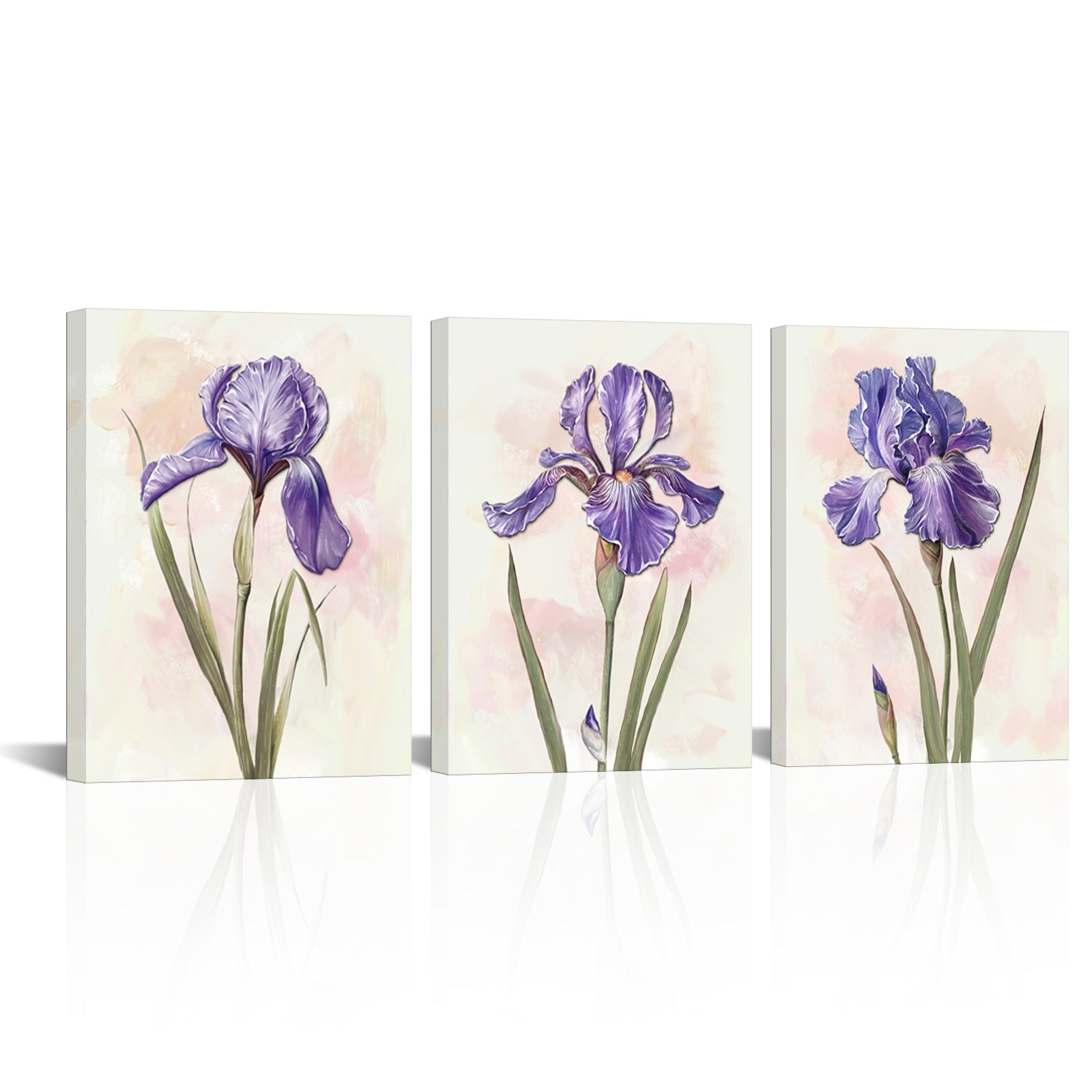 Iris Flowers