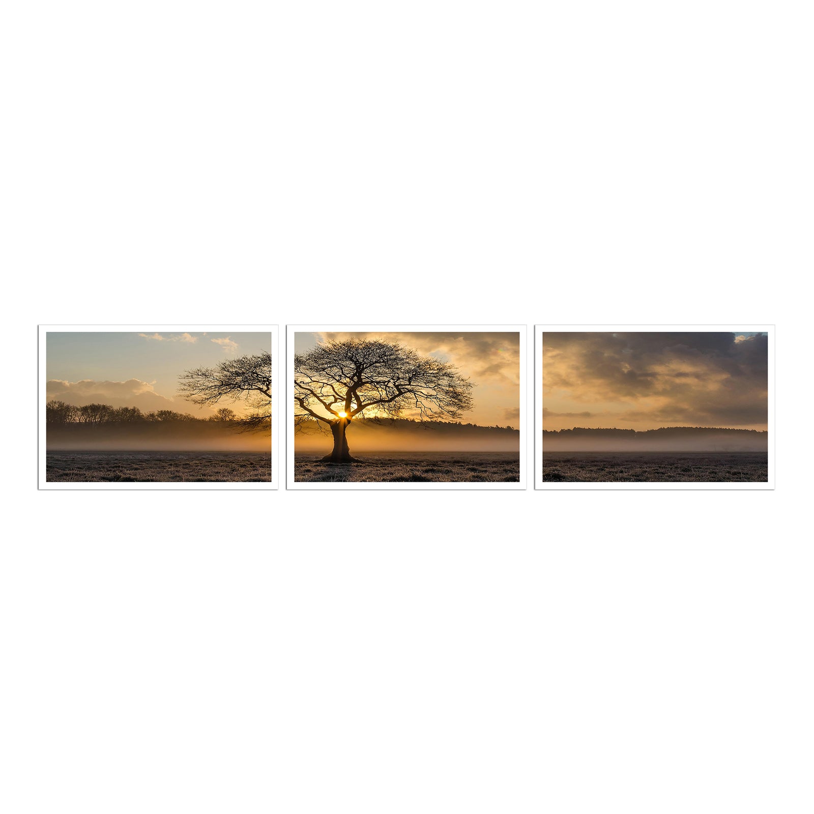 Custom 3-piece split scroll canvas print