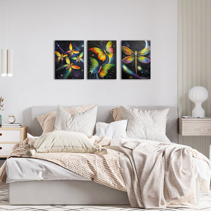 Colorful Insects Butterflies Dragonflies