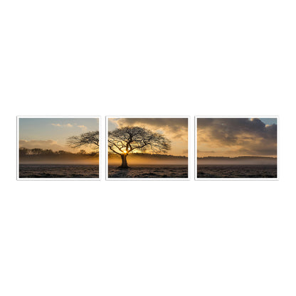 Custom panoramic scroll print in three parts