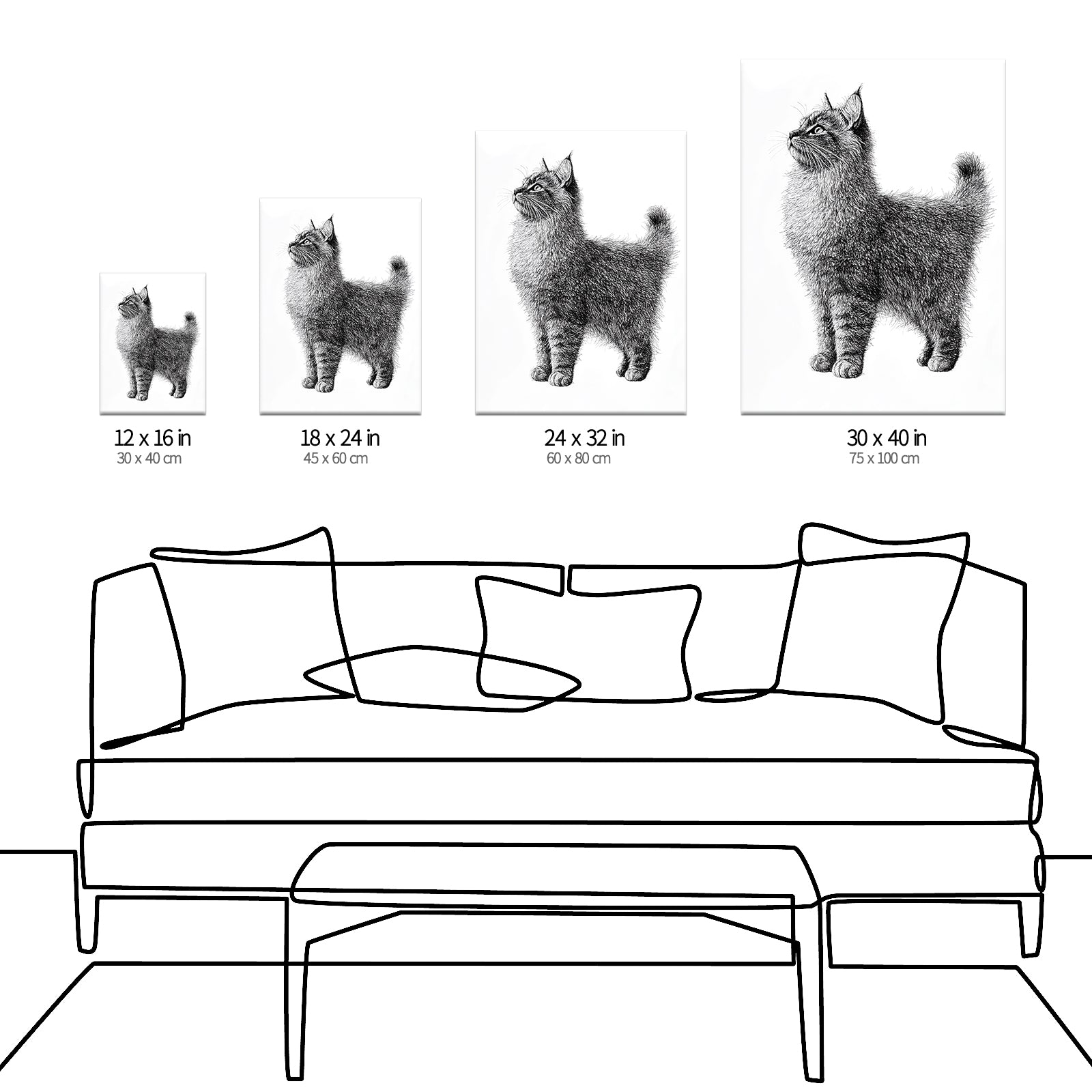 Size comparison chart