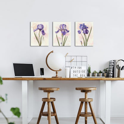 Iris Flowers