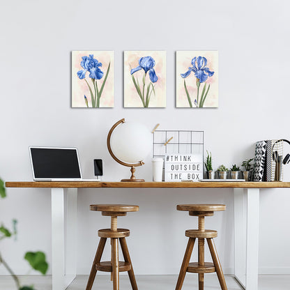 Iris Flowers