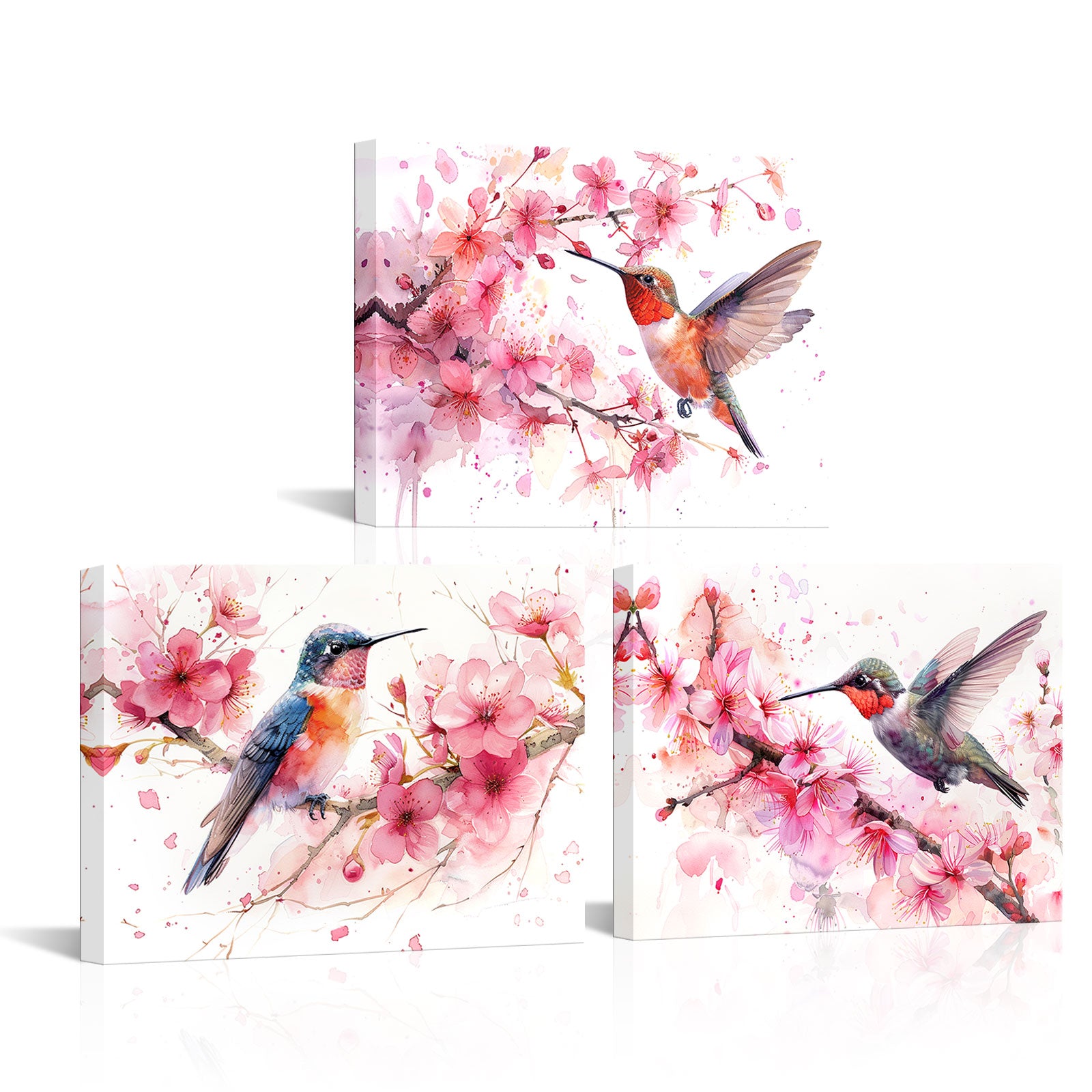 Hummingbird Hovers Amidst Cherry Blossoms