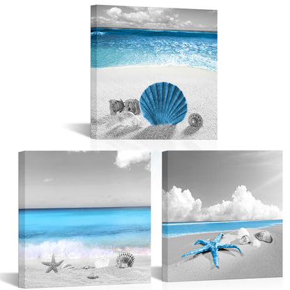 Sandy Beach With Seashells And Starfish