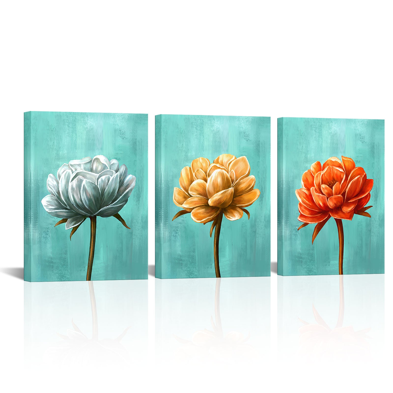 Peony Flowers Blossoms