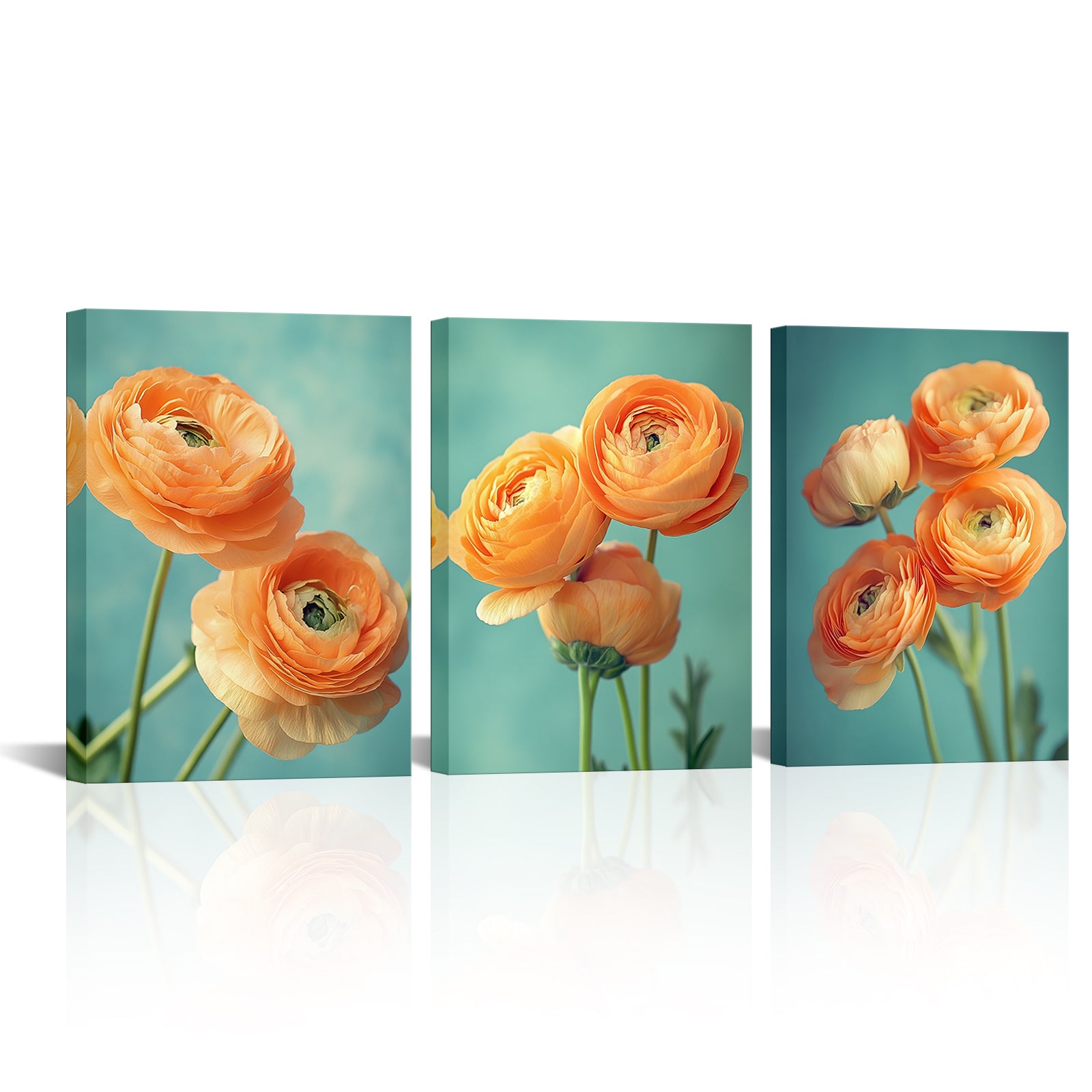 Orange Ranunculus Asiaticus canvas prints for wall decor
