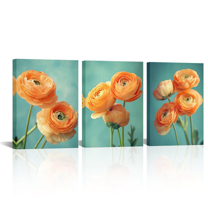 Orange Ranunculus Asiaticus canvas prints for wall decor