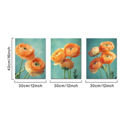 Orange Ranunculus Asiaticus canvas prints for wall decor